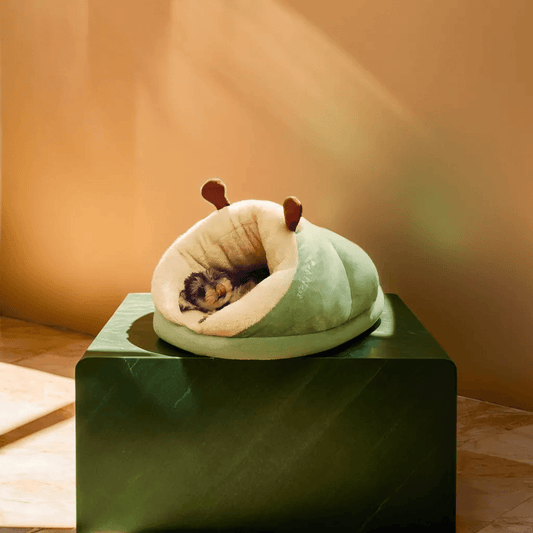 גוצ'י – מיטה בצורת נעלי בית לכלב