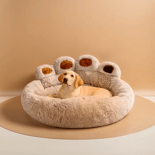 לוקו - מיטה איכותית לכלבים
